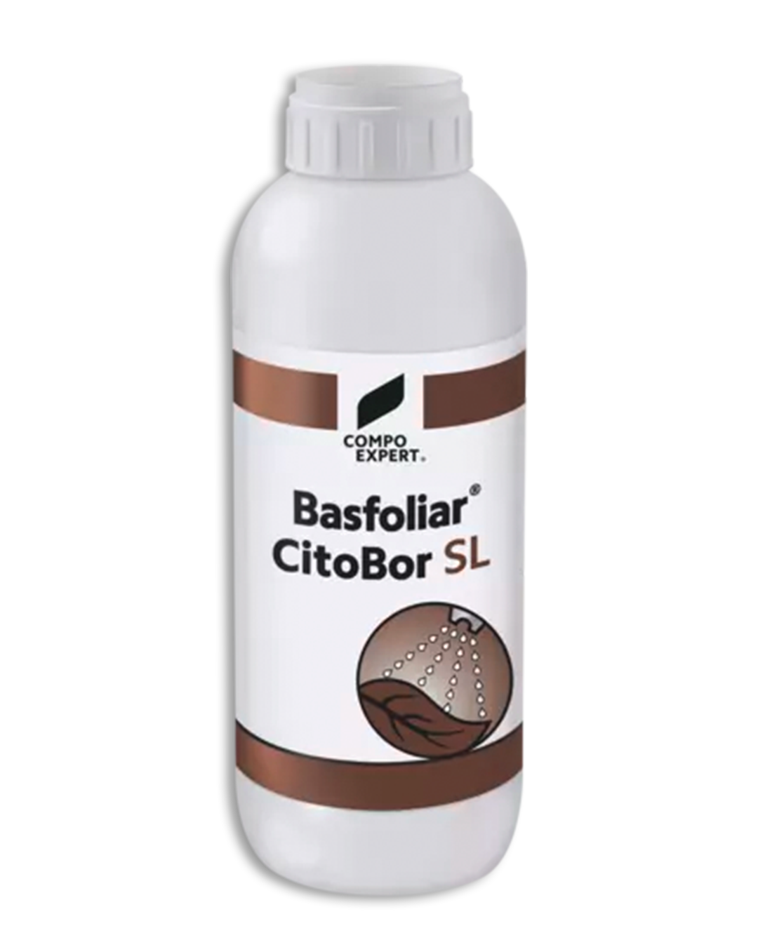 CitoBbor
