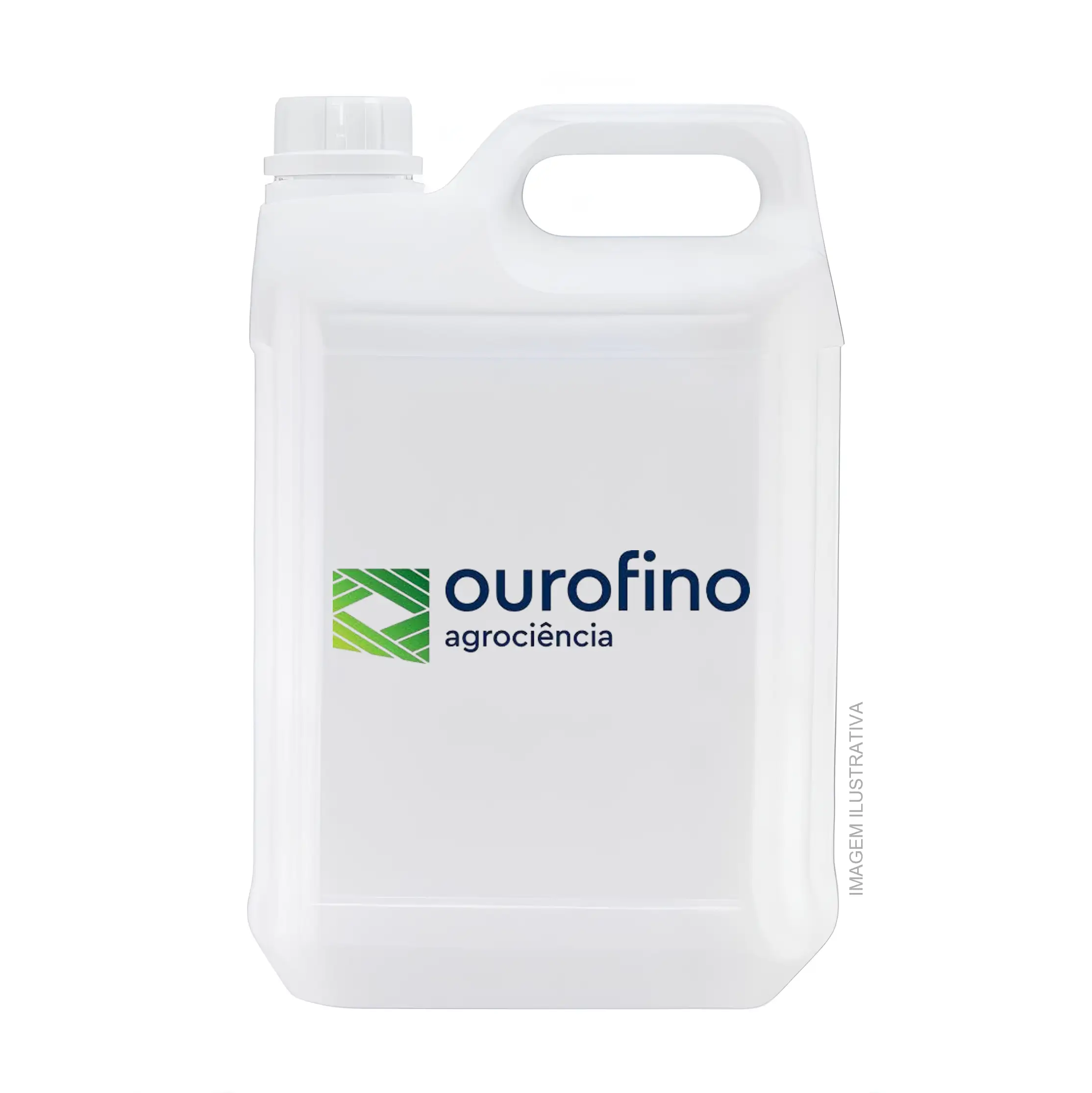 gal_o_ouro_fino_26