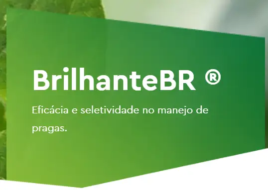 inseticida-brilhante-br-20l