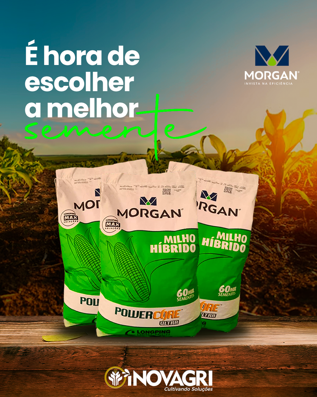 ESCOLHA SUA MELHOR SEMENTE